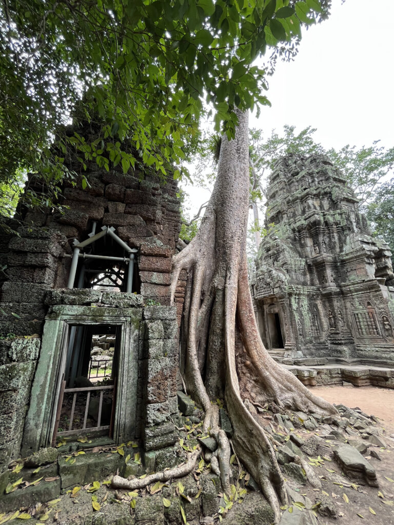 Angkor Wat, Siem Reap