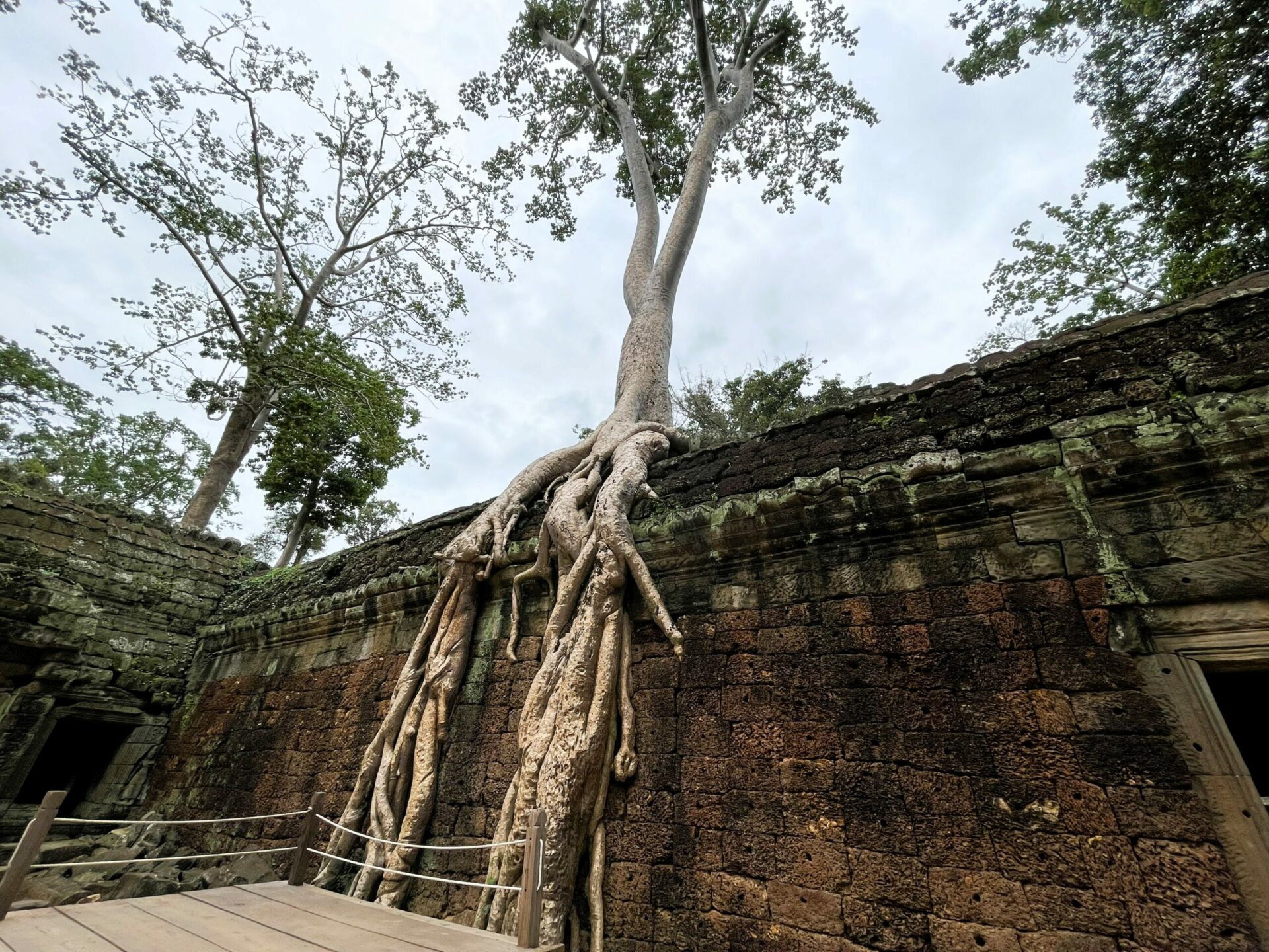 Ta Prohm 