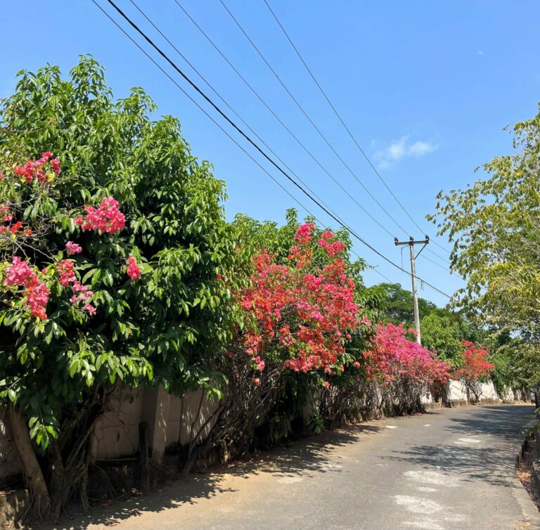 Lombok