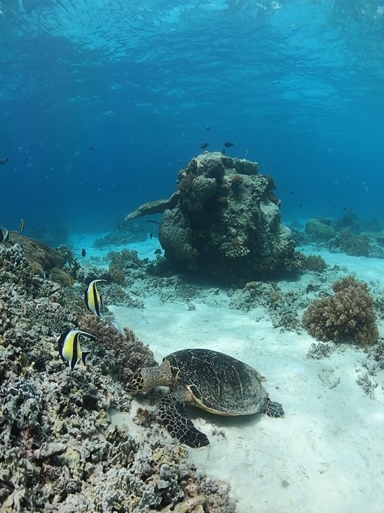 Lombok