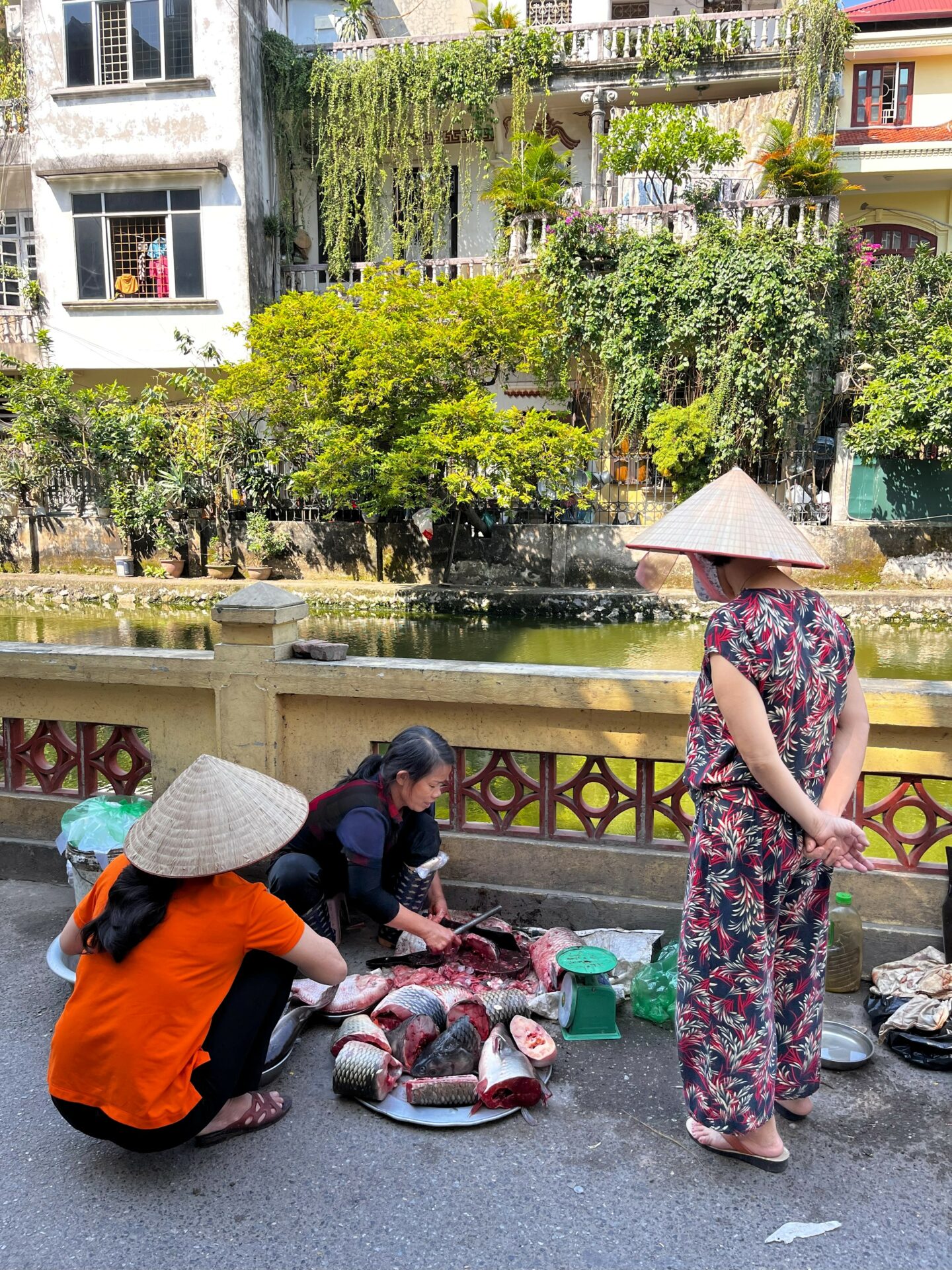 Hanoi