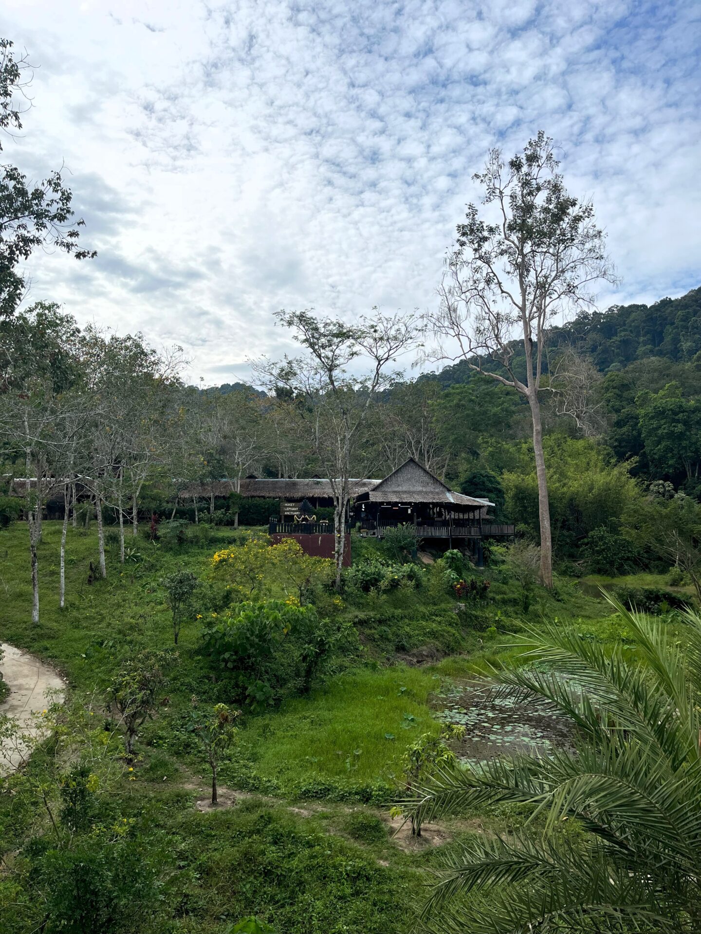 Phuket Elephant Sanctuary 